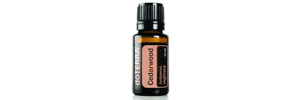 Cedarwood 100% Pure Oil -  15 ml