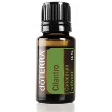 Cilantro 100% Pure Oil -  15 ml